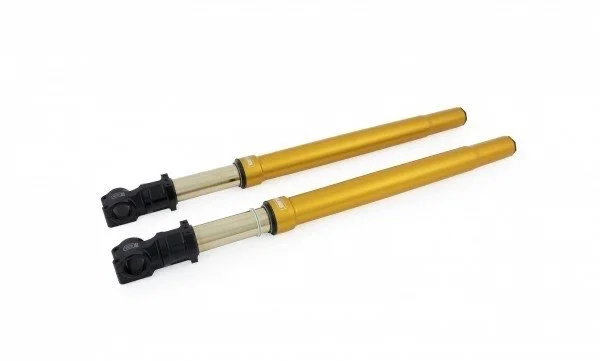 COMPLETE FXR Division/Rebuffini Scotts Stabilizer Ohlins Inverted